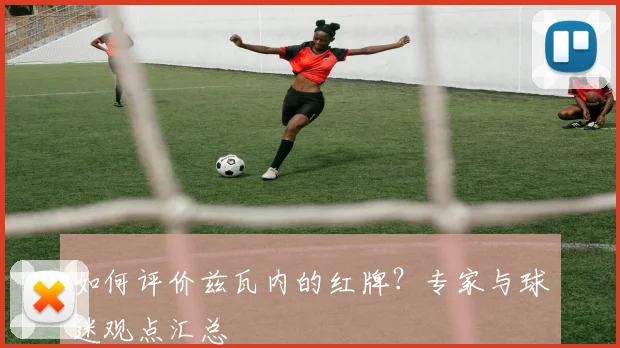 如何评价兹瓦内的红牌?专家与球迷观点汇总